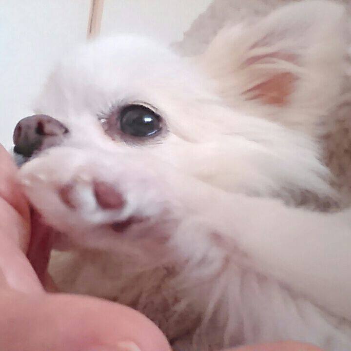 Ae7dd3e2 d3e3 4b79 87fc 823ff44791be 1510447884068