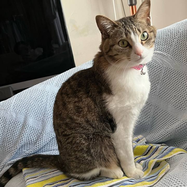 Ae7de1a6 b371 43ee 96f4 0e1ffbd28b75 1720481094273