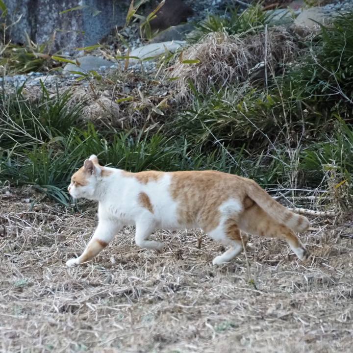 Ae7de342 8aa0 43b7 8d24 d758424910b4 1612432668727