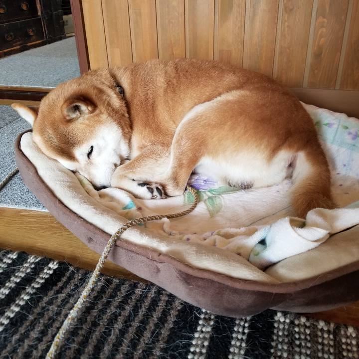 Ae7dfbcd b64f 4c5b b63f 4fde17c9e620 1565922265370