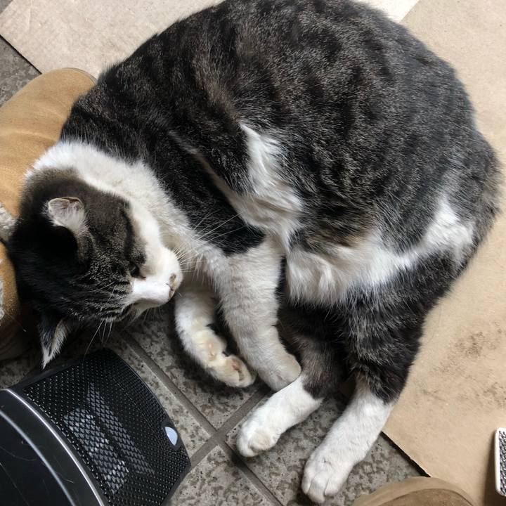 Ae7dfc9f 5d6e 40fc 9703 04a6be3a9f12 1606614212971