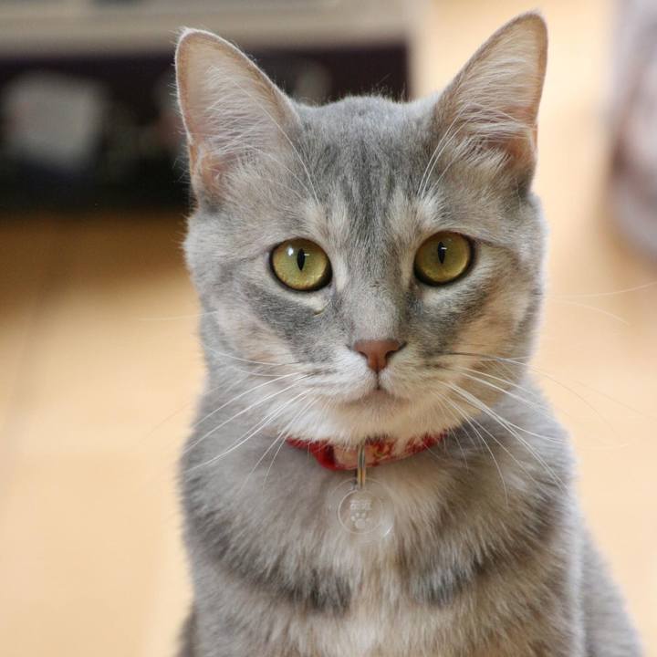 Ae7e213d 2fff 4829 add9 33dc545ad882 1528452525109