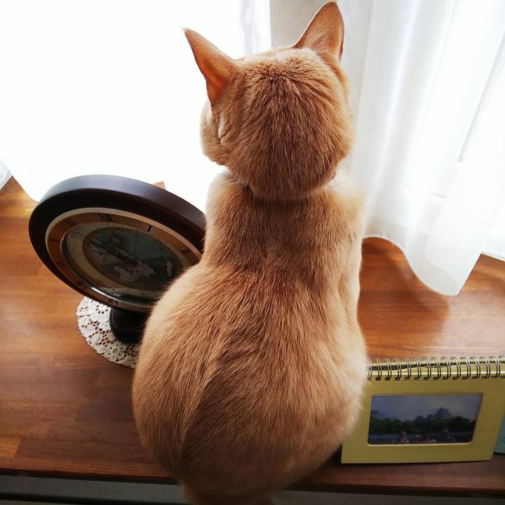 Ae7e291f f6f0 4ebe bd75 77cf44f54b29 1636849152298