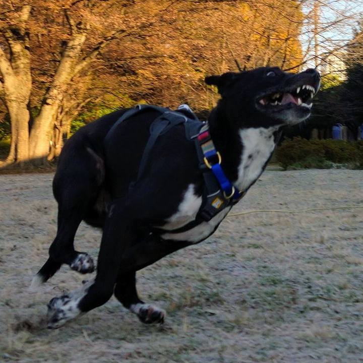 Ae7e8eb2 ea13 4213 9873 c21a96563de0 1638143350796