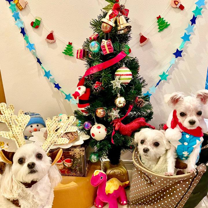 Ae7ef2c8 49de 4187 8019 ef5bc98ecc8d 1640390898594