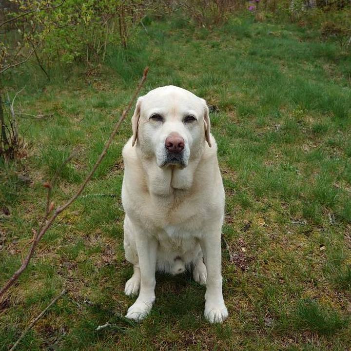 Ae7f14ed c519 44a4 82c6 d461fb301948 1747471524237