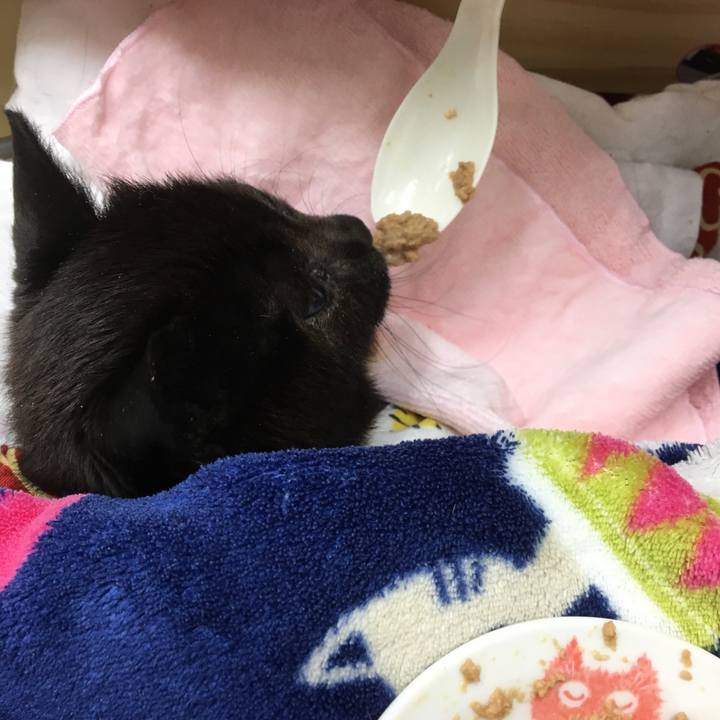 Ae7f15d6 c099 45cf 86b5 789fcf52f6da 1515682686500