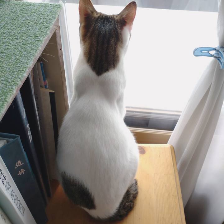 Ae7f3e82 bb8c 435a a58f 1a0d84db4331 1647659369363