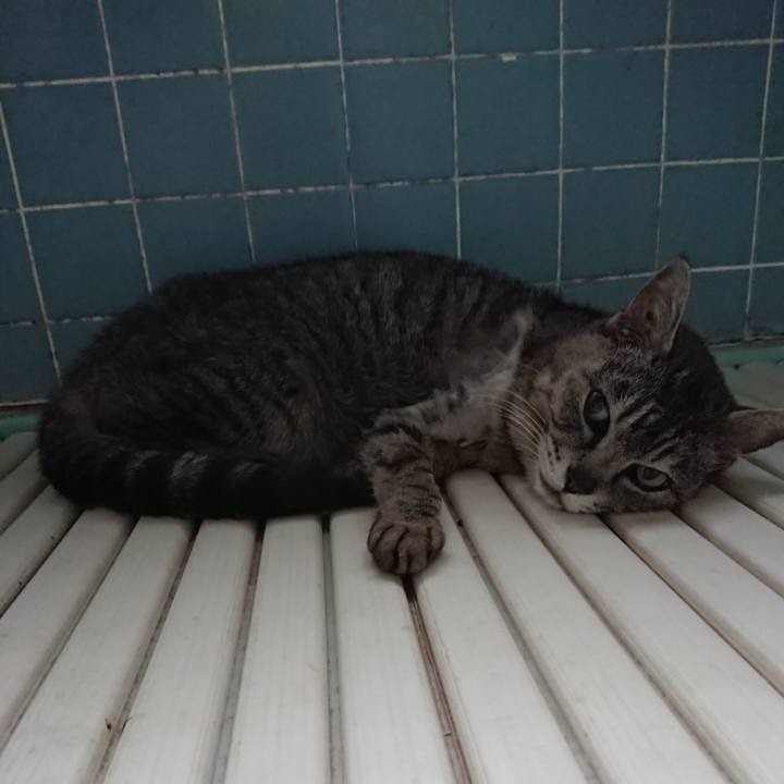 Ae7f53c2 4e50 4f12 bdc2 bad0415fe4cc 1591044721063