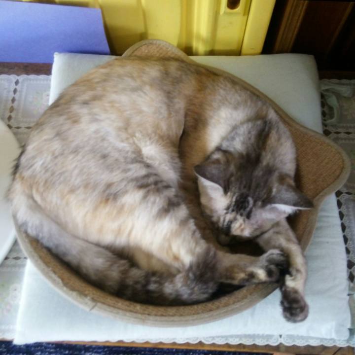 Ae7f6df7 cc8d 4591 9ce6 61ee7d535ee4 1529997423270