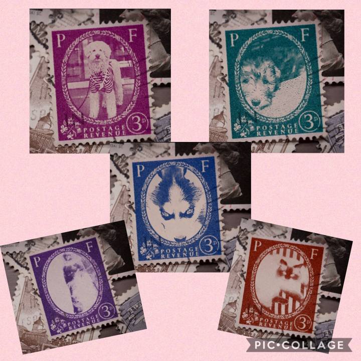 Ae7f7d20 7de9 4c2f bb2d 5d6c0d50cf11 1569854274180