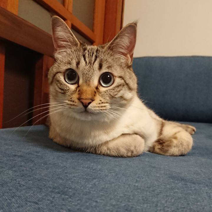 Ae7f9bed 2b0e 4d4e a6c8 96e14f4fdfbc 1559738028299