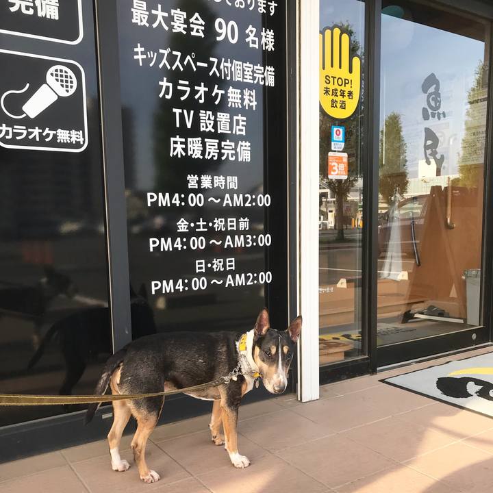 Ae7fae08 066d 4250 ba97 ed637a03de61 1524387704374