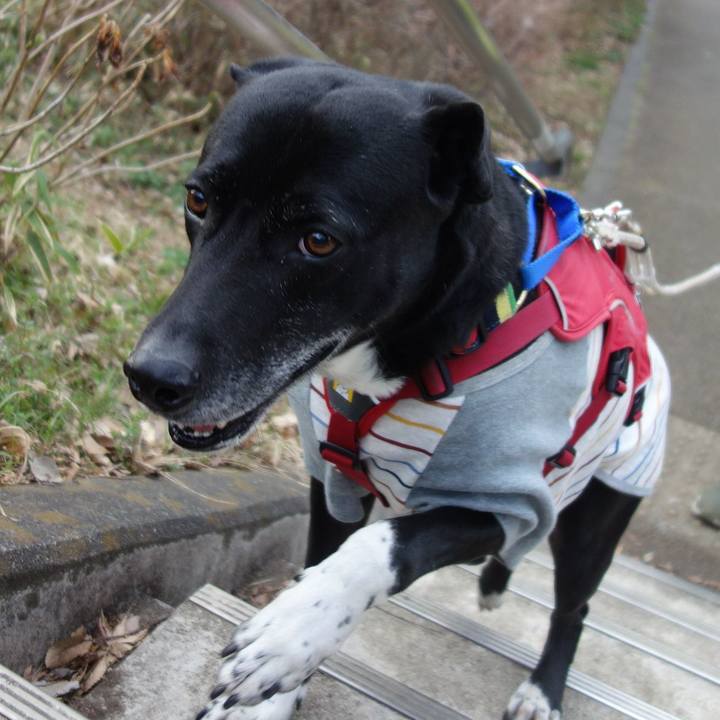 Ae7fbecb 29df 4bbe 9733 83cc677415ce 1678022908489