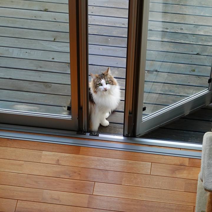 Ae7fc2e9 cf65 4037 9f54 28eeda4bc2b2 1684295198044