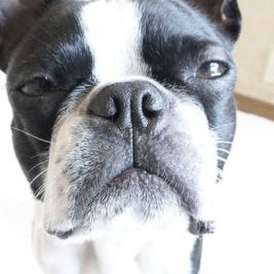 Ae7fce0d ca37 411a 9659 e716b620fa08 1523593400132