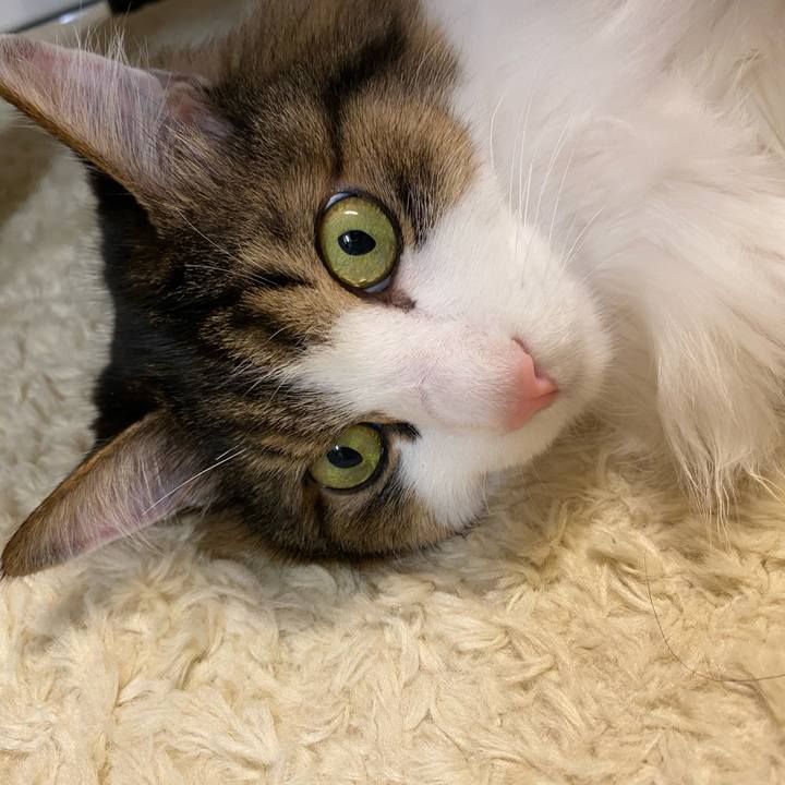 Ae80a6cf 132c 41d8 9c22 c1063824fc33 1670362529588