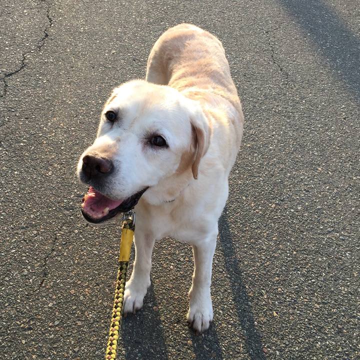 Ae80d4b7 1e65 4f82 b4d1 96cde0c6bf83 1564465991007