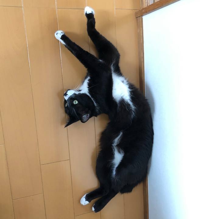 Ae80e21b 89f8 4089 8de2 73a320d156be 1565322360089