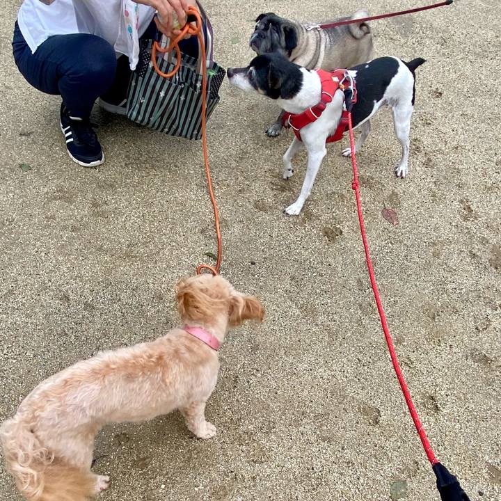 Ae80e466 8f37 453f 919d 8a15df2e75ba 1626387162876