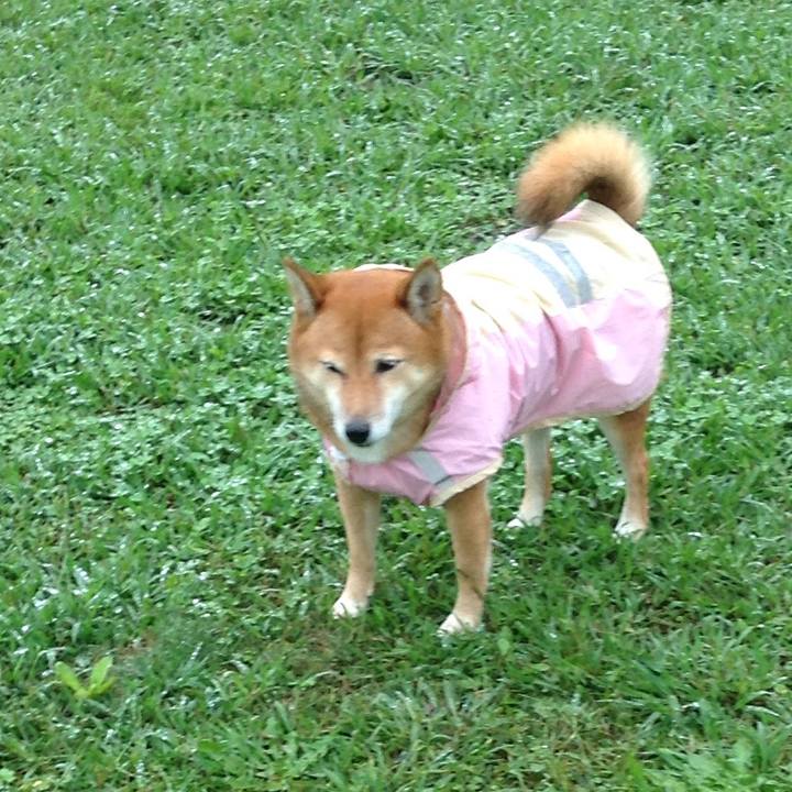 Ae80f793 7980 4d49 82b2 940da0d99b98 1508126403203