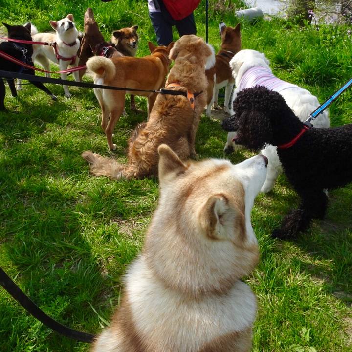 Ae811b7f e40d 419a 9f8a 6ac5a67ba131 1522838545150