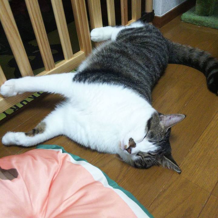 Ae814186 ce55 40cf 855f 1698546b3154 1661691716937