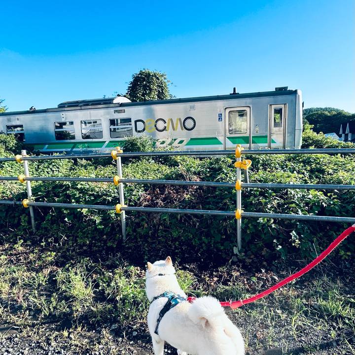 Ae815633 3e49 4018 9aa4 c333ddd1823e 1725265579148