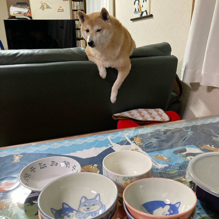 Ae818324 eb81 48ca 9654 55f1a90e93f6 1615290406313