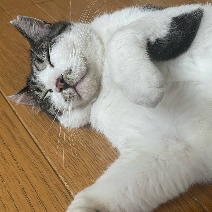 Ae81a9db 34d2 4b16 b2b2 aff229ebd106 1720608502229