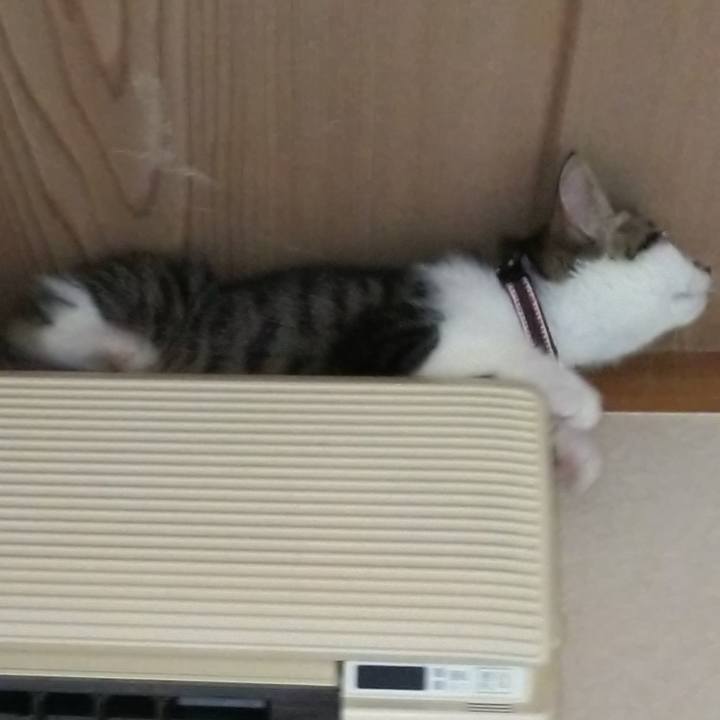 Ae81b82c ae09 497f a116 71ff44c3c982 1608865551715