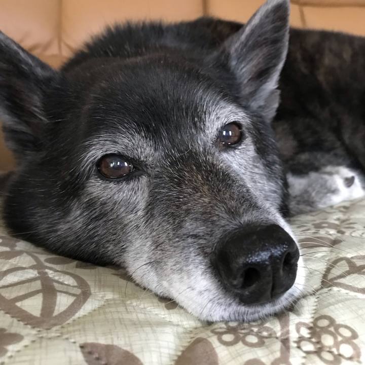 Ae81daef eb8f 40f8 8cb9 70a064d26d3e 1657278727486