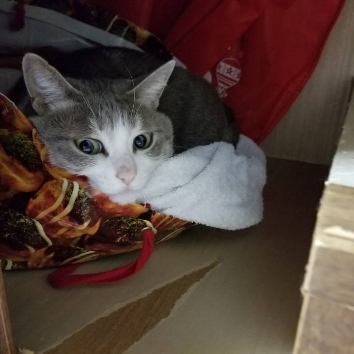 Ae81dd37 6843 4dbd b0c9 297d3f5eefdc 1515334252491