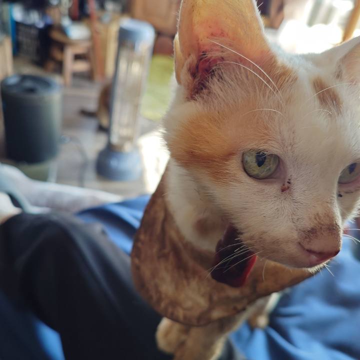 Ae81ed4c 1cfd 4817 989a 69fbe59ba9a6 1771816077774