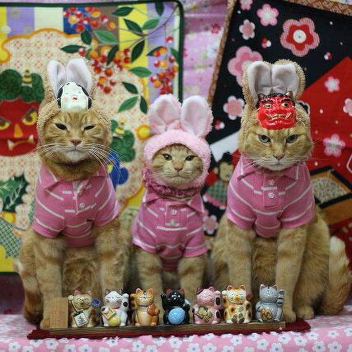 Ae822147 9eb0 4783 8ff7 b1a822bbfe1d 1549011800750