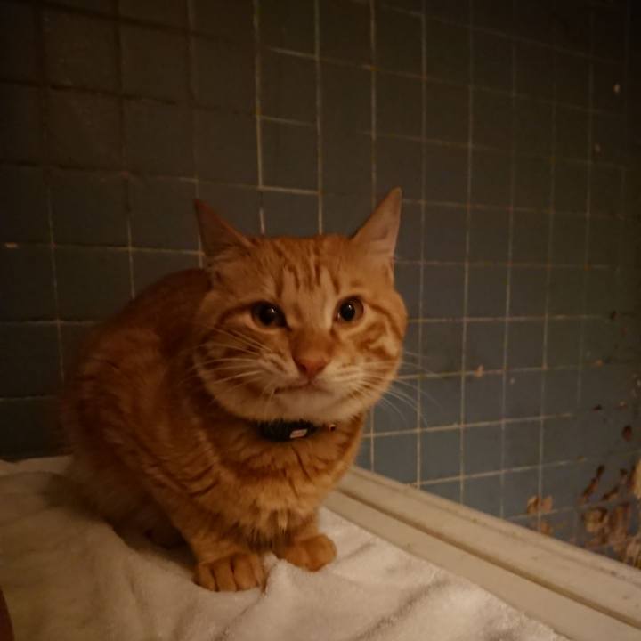 Ae822e58 7590 4424 8dcd a1d25bef04bb 1643888794346