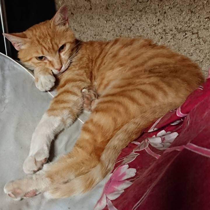 Ae8241c2 f468 46af b581 4045f820ef26 1560511975307