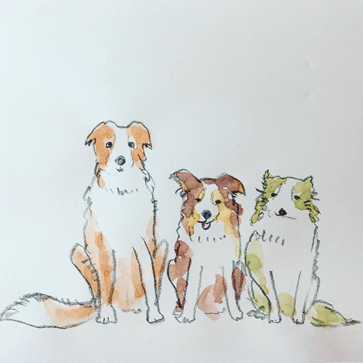 Ae82443a b47f 4ee4 acaf e1063e433522 1582116896046