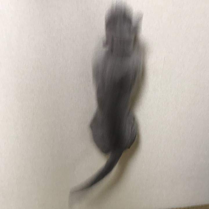 Ae8269eb 8285 48a4 8ddf e8f8d3a46f26 1519657166432