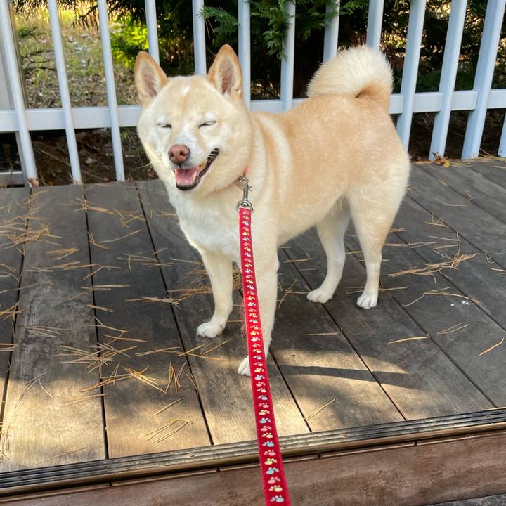 Ae827f5d fb77 4e35 99b9 5dafad5f7b39 1702700871490