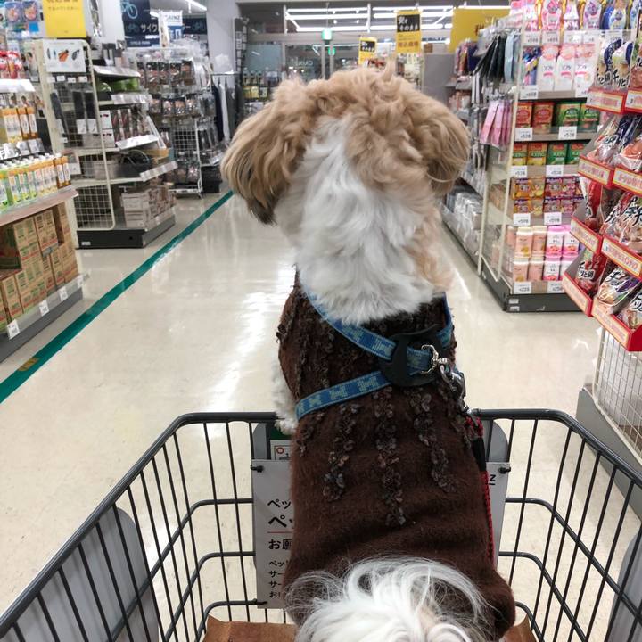 Ae82cc12 f03a 4770 8790 5dc132dcac37 1577483176391