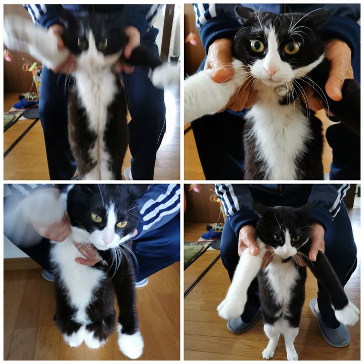 Ae82da10 d0dd 4418 a20d 3b26f4f30187 1619865710082