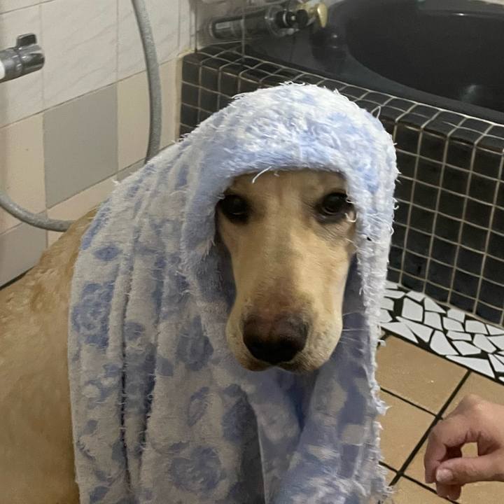 Ae82ded3 a5f8 4554 ae6c b88084539f96 1646644901468