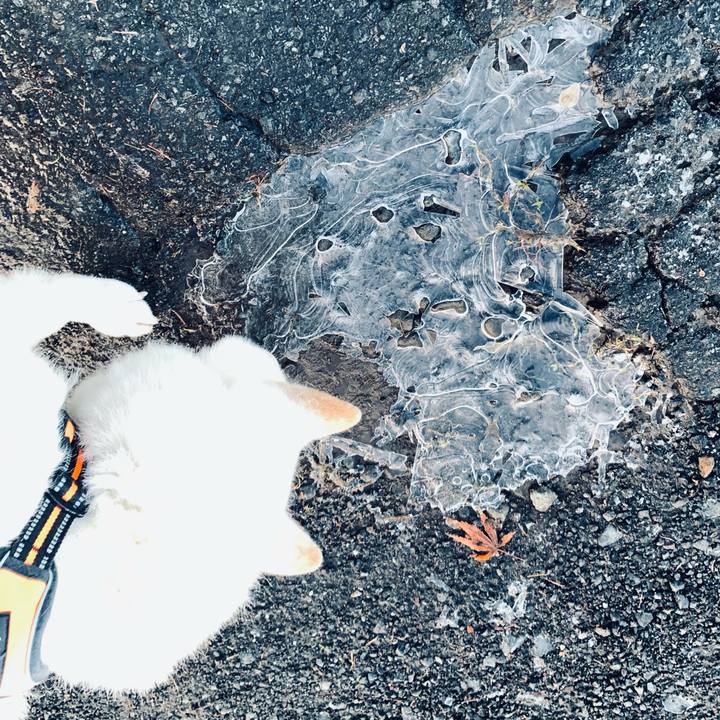 Ae82fa98 e9de 4f7a 9413 98f2690be353 1668551156940