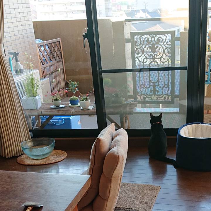 Ae8305b3 bc43 4c75 96c2 0eee6fdf9978 1545693764741