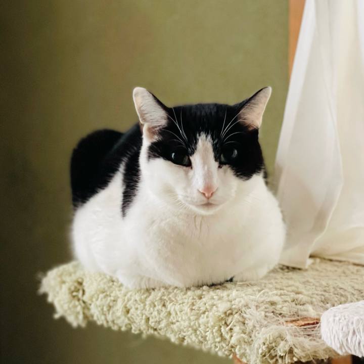 Ae834904 afc9 474a a470 6c2430c78ebf 1643251900703