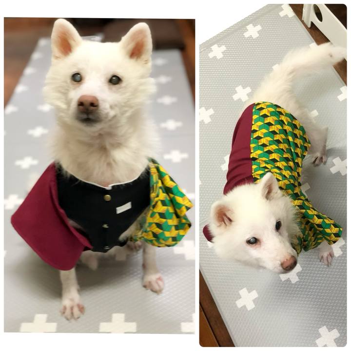 Ae8368ef 78fe 4966 b0ff 4b632aa1f9d4 1761891319695