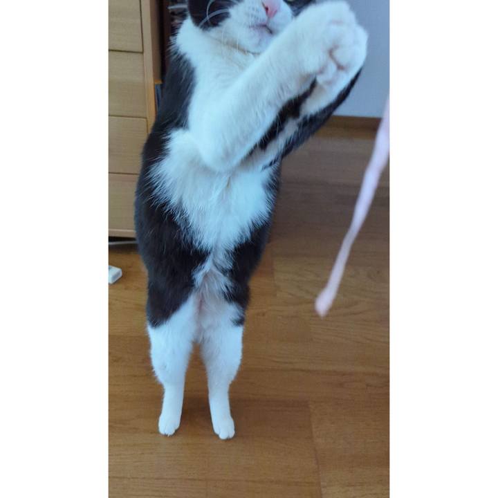 Ae836e37 4a7a 45c6 9757 c54db2b540a0 1709700190351