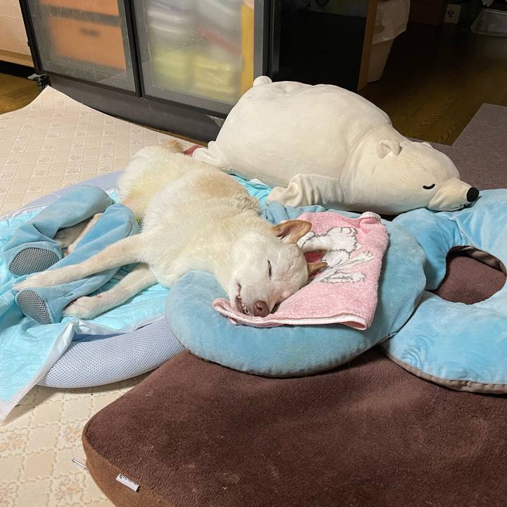 Ae83b5f7 2607 4651 9731 d41fe29d1cc3 1662295767975