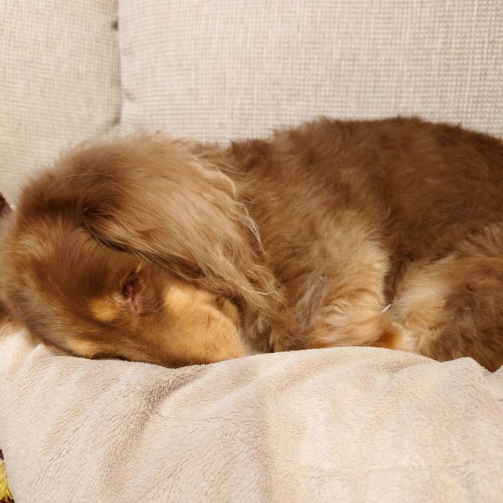 Ae83ca7d bf86 48a6 aafb b09ae6b2caec 1676815779451